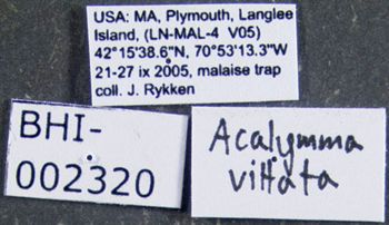Media type: image;   Entomology 613220 Aspect: labels